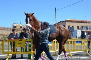 Carreras de caballo de las fiestas de San Juan 2018 de Telde (Foto Francisco Javier Santana)